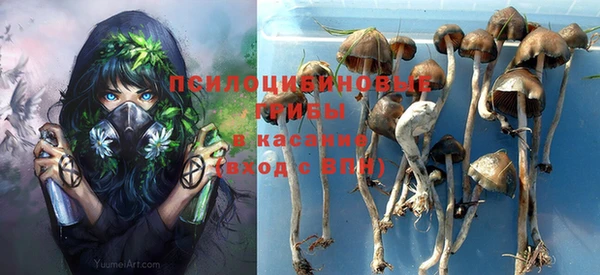 таблы Алексин